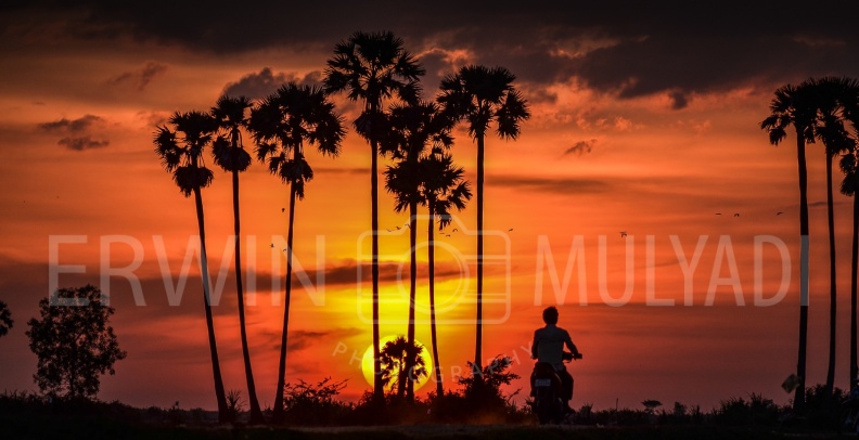 Sunset in Siem Reap