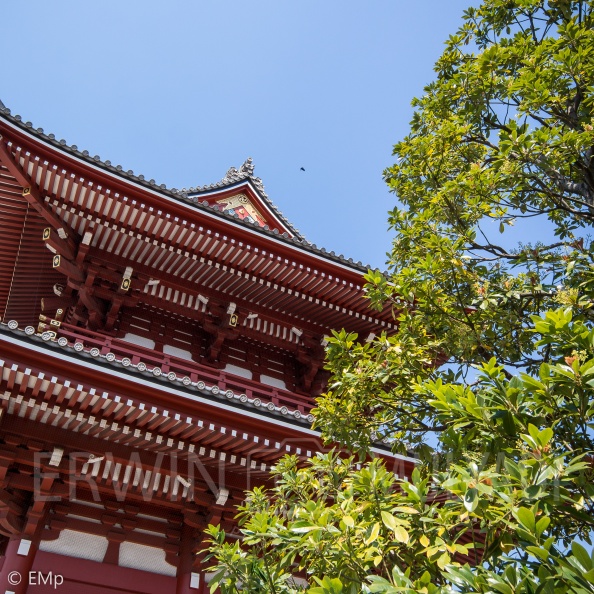 Asakusa castle
